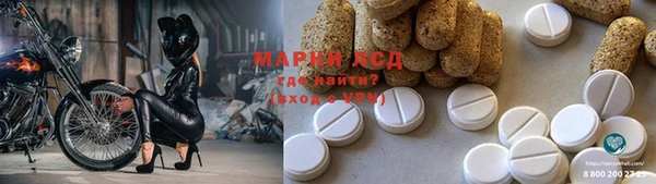 дживик Новозыбков