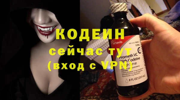 дживик Новозыбков