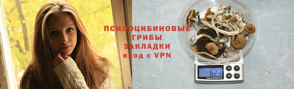 дживик Новозыбков