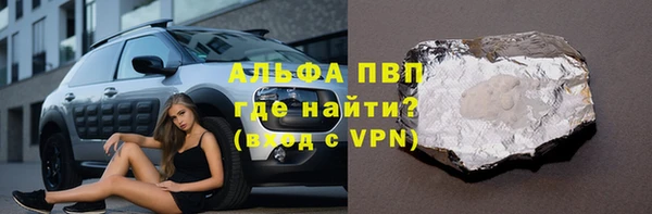 дживик Новозыбков