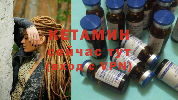 дживик Новозыбков