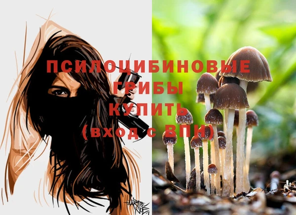 ALPHA-PVP Новокубанск