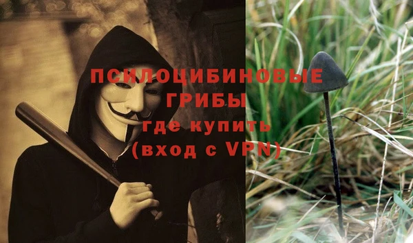 дживик Новозыбков