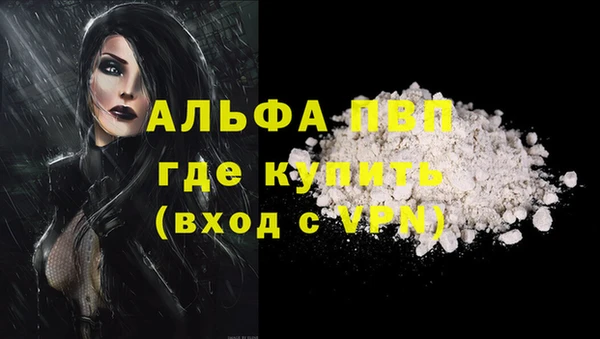 дживик Новозыбков