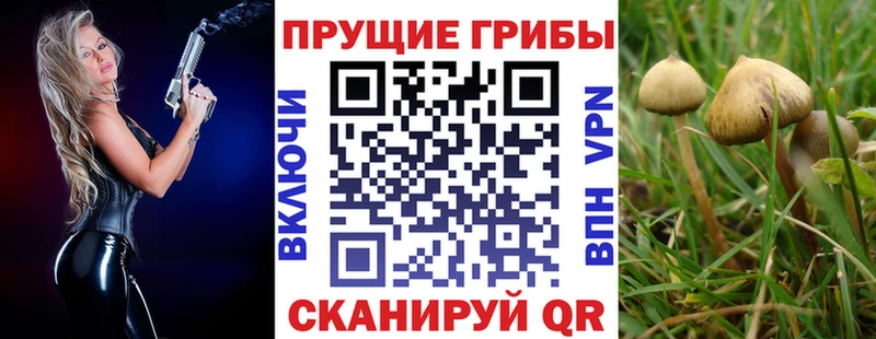 darknet как зайти  Сосногорск  Галлюциногенные грибы Magic Shrooms 